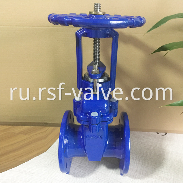 Rising Stem Resilient Seat Gate Valve